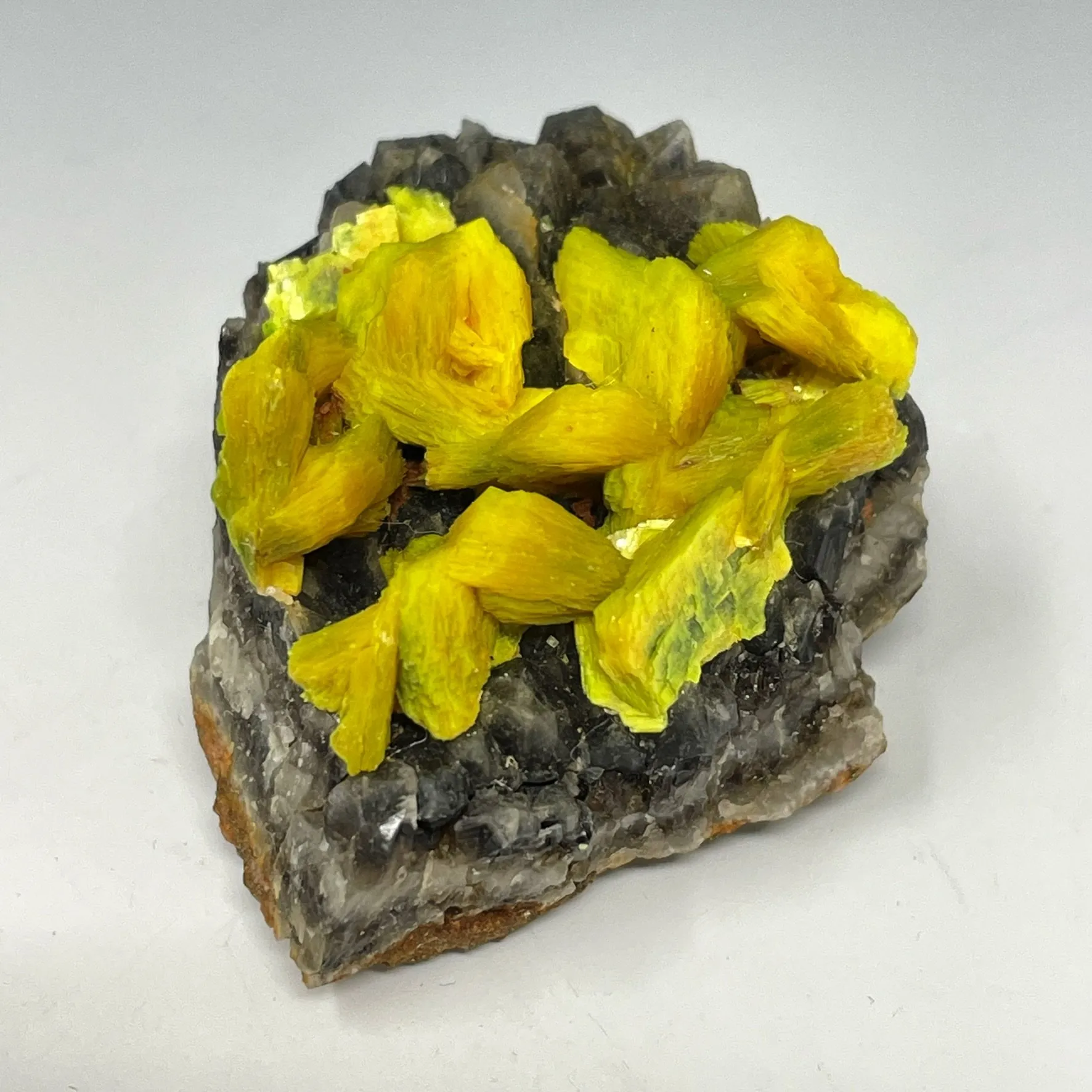 Autunite on Quartz on Granite - image 2