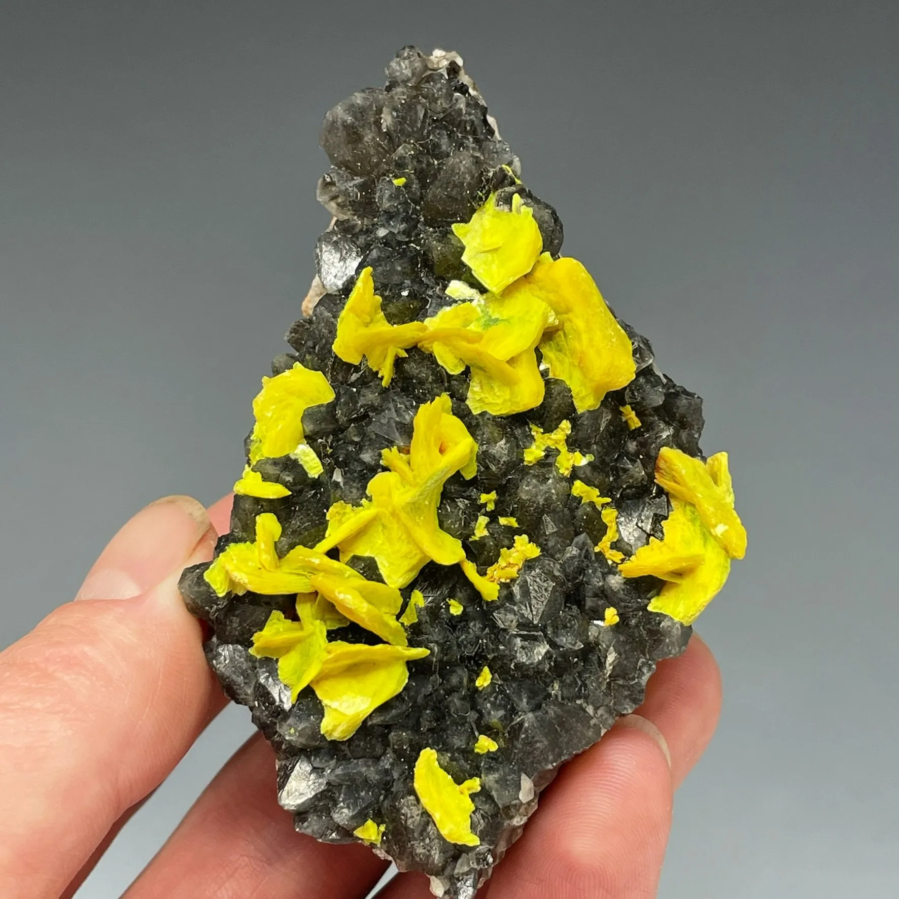 Autunite on Quartz on Granite - image 2