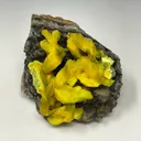 Autunite on Quartz on Granite - image 4