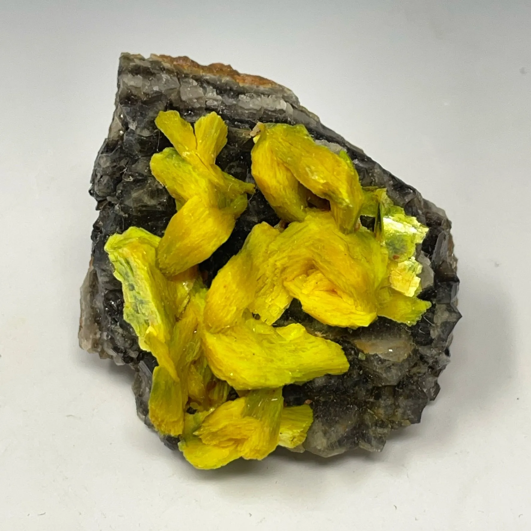 Autunite on Quartz on Granite - image 4