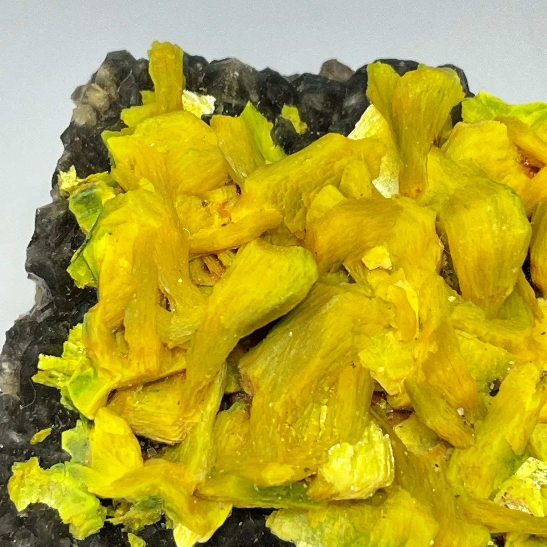 Autunite on Quartz on Granite - image 3