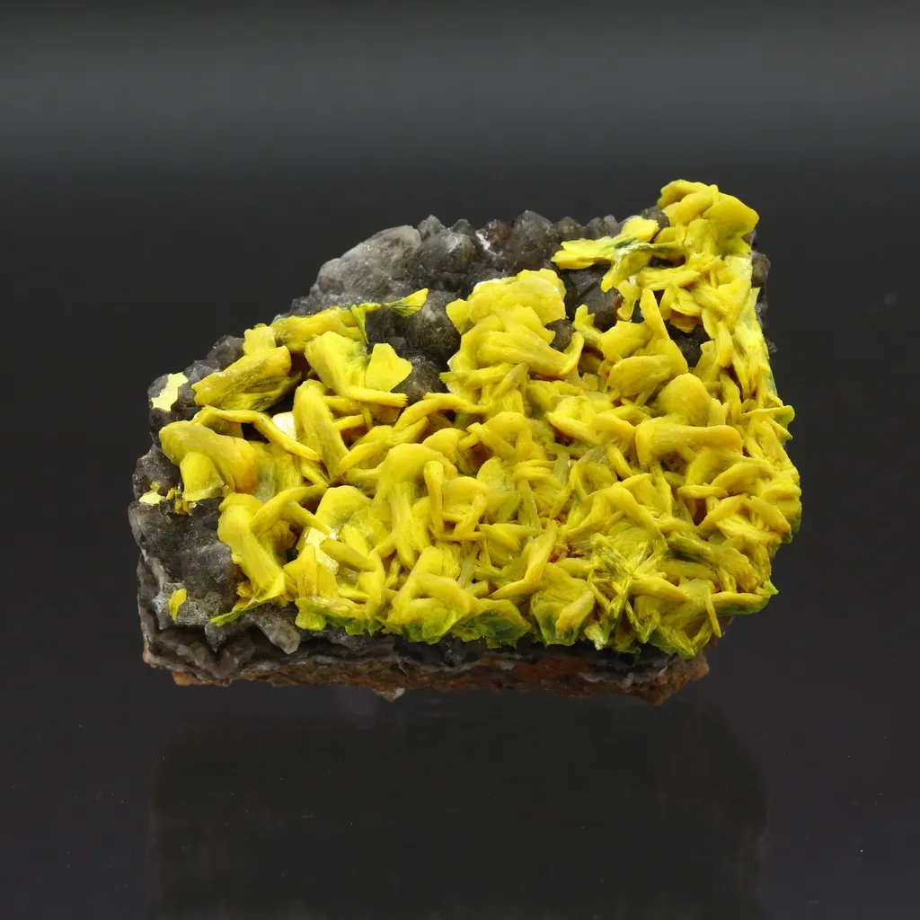 Autunite on Quartz on Granite image