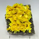 Autunite on Quartz on Granite - image 2