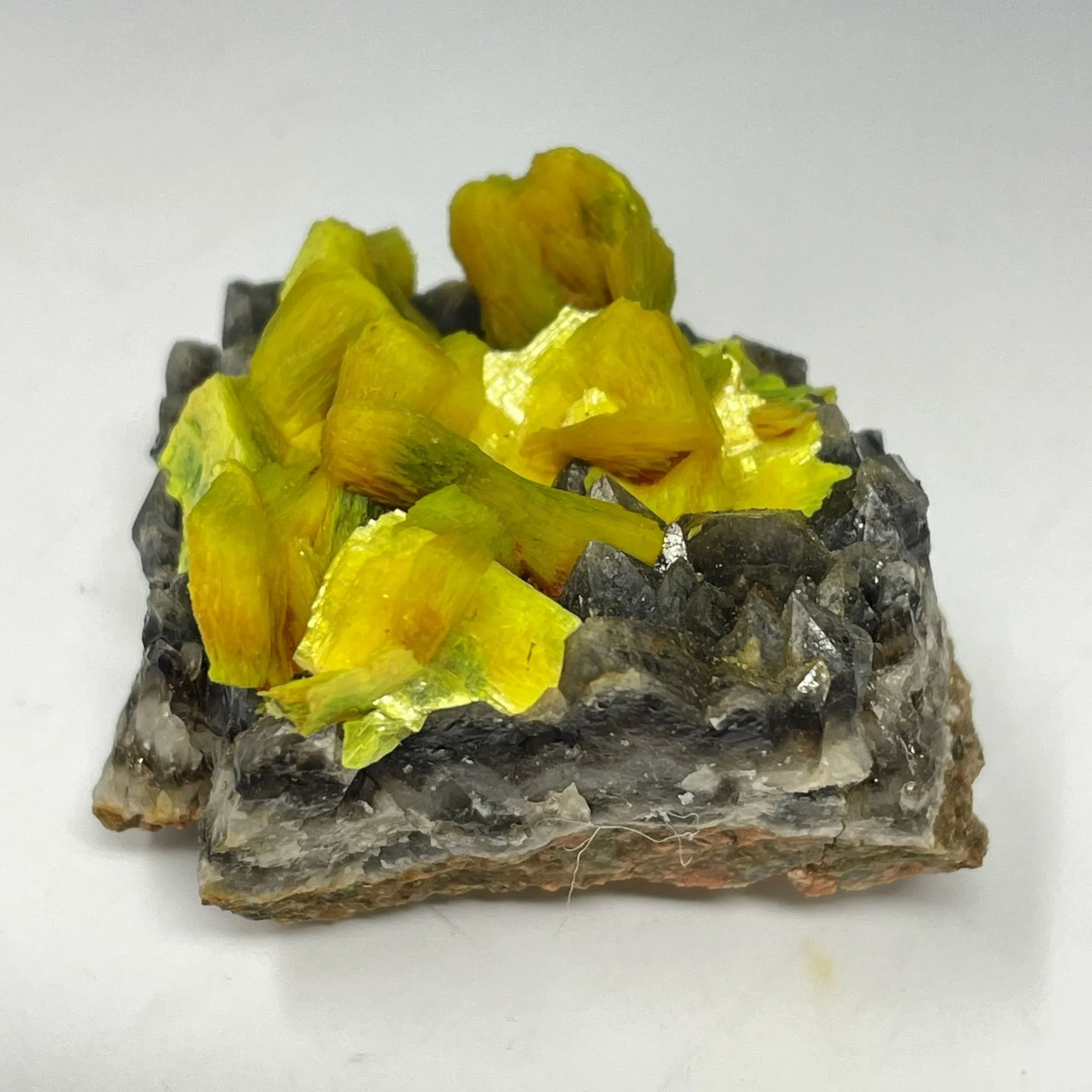 Autunite on Quartz on Granite - image 3