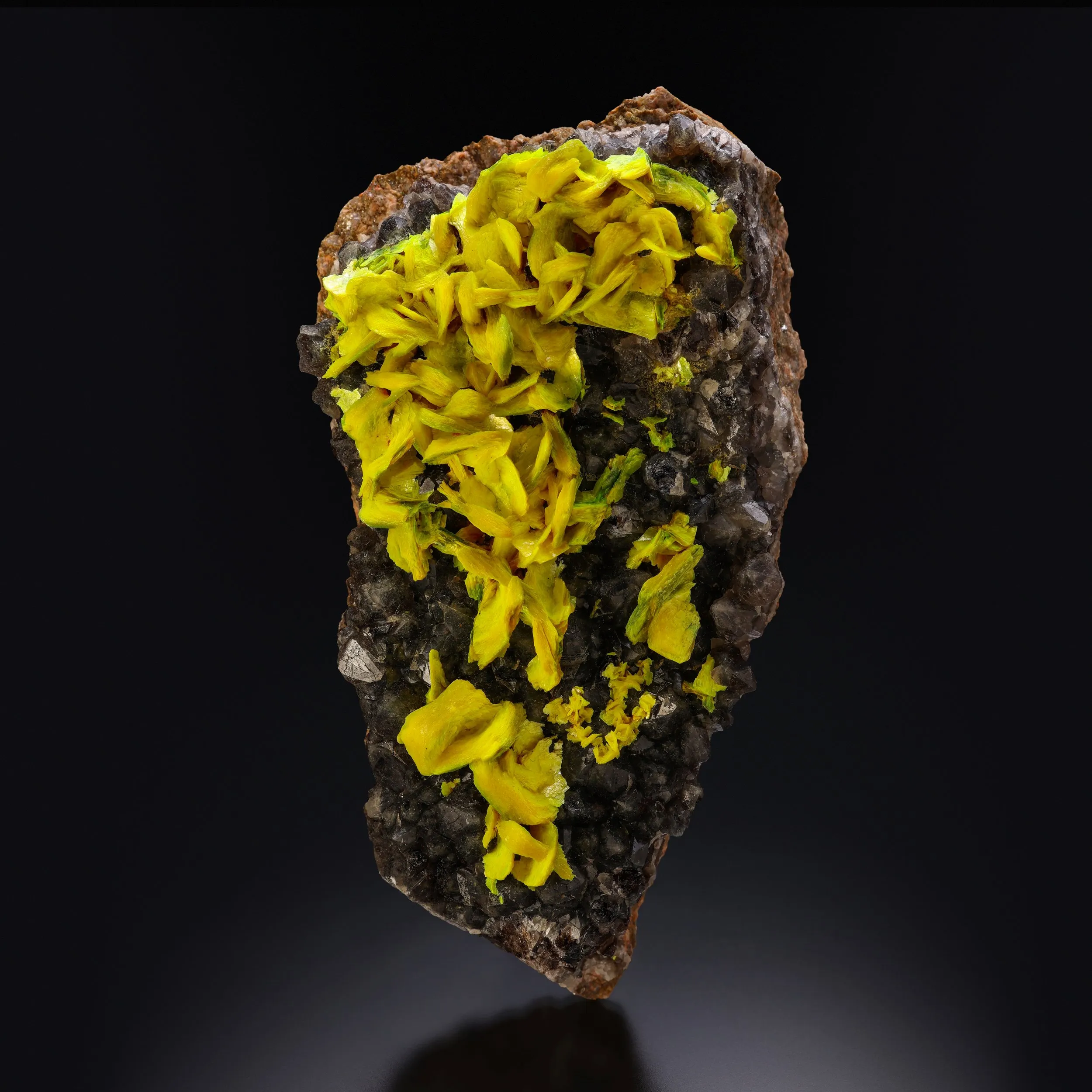 Autunite on Quartz on Granite - image 1