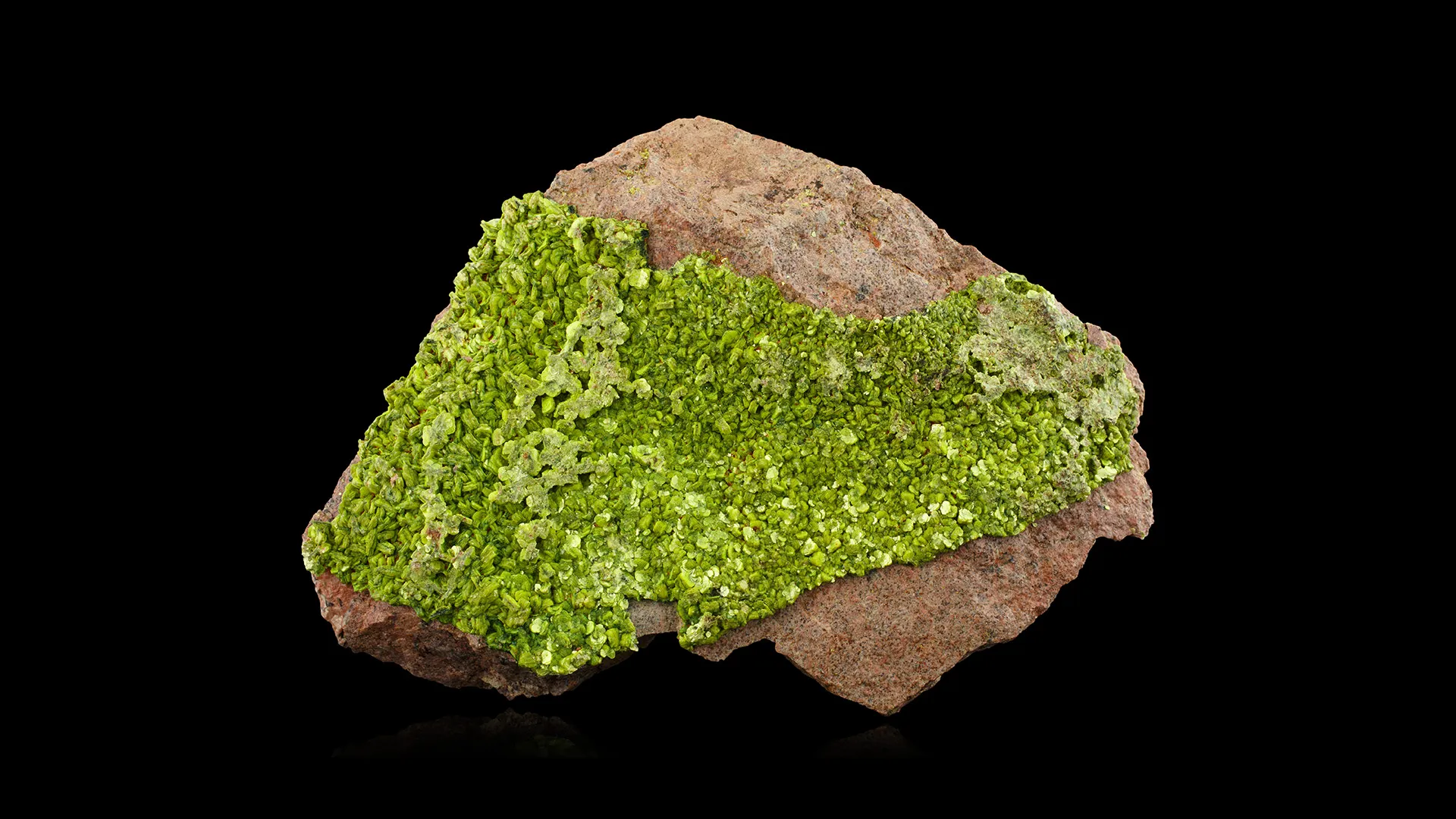 Autunite (var. Meta - image 1