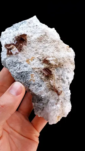 specimen video