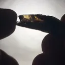 specimen video