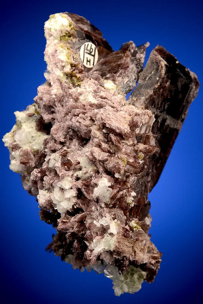 Axinite-(Fe) - image 4