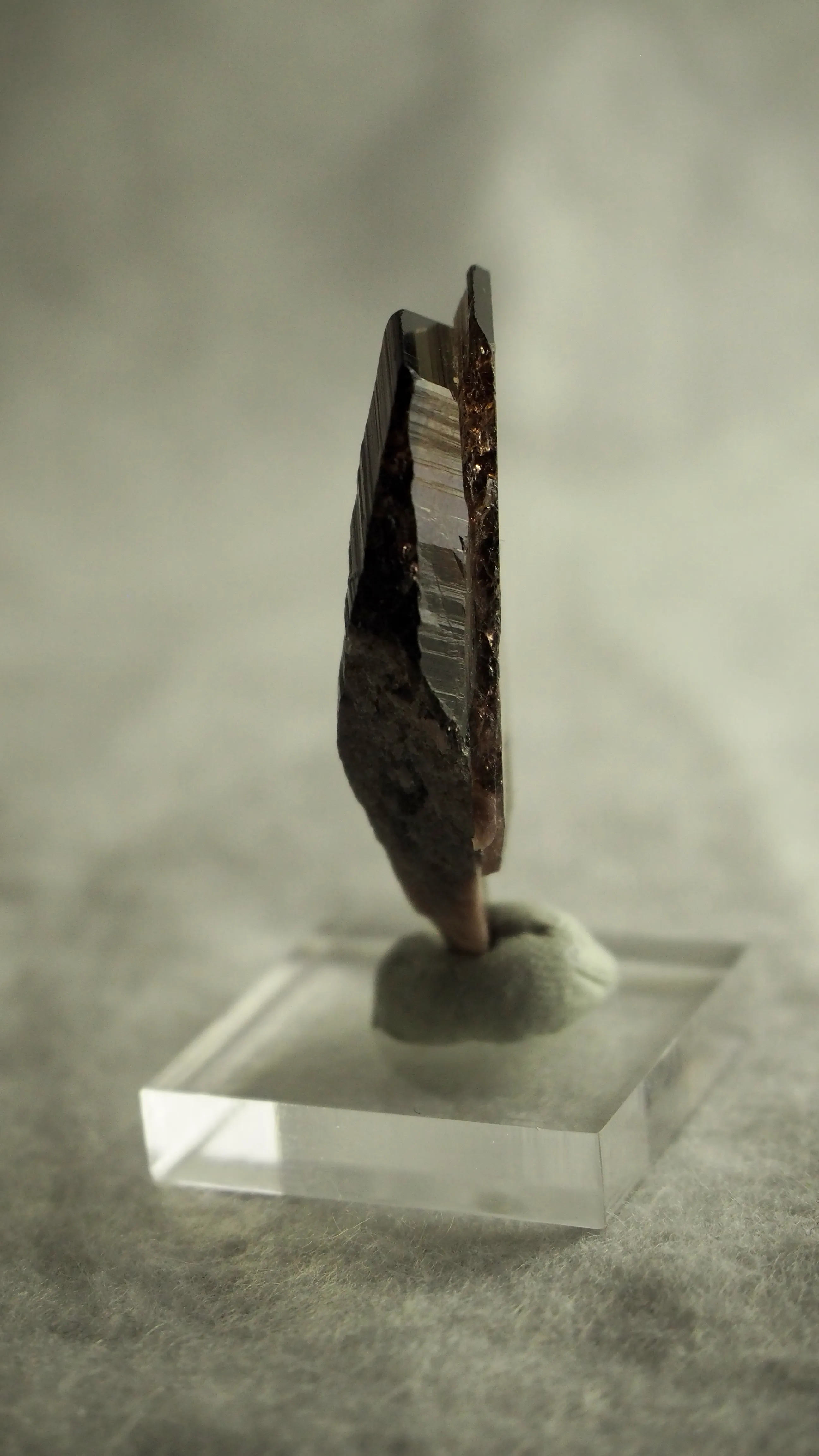 Axinite-(Fe) from Pakistan, Gilgit-Baltistan, Skardu District - image 6