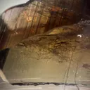 Axinite-(Fe) from Pakistan, Gilgit-Baltistan, Skardu District - image 8