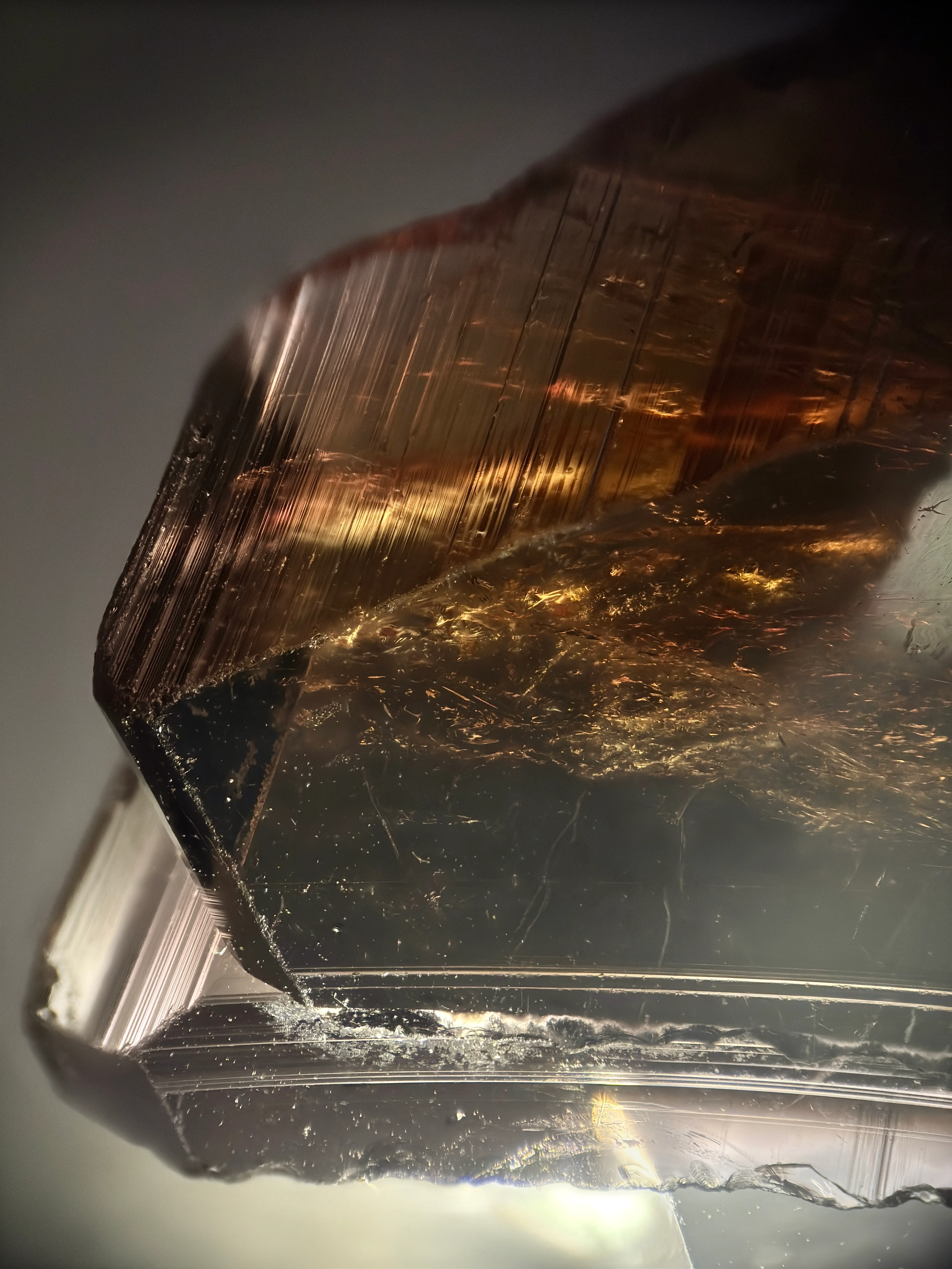 Axinite-(Fe) from Pakistan, Gilgit-Baltistan, Skardu District - image 7