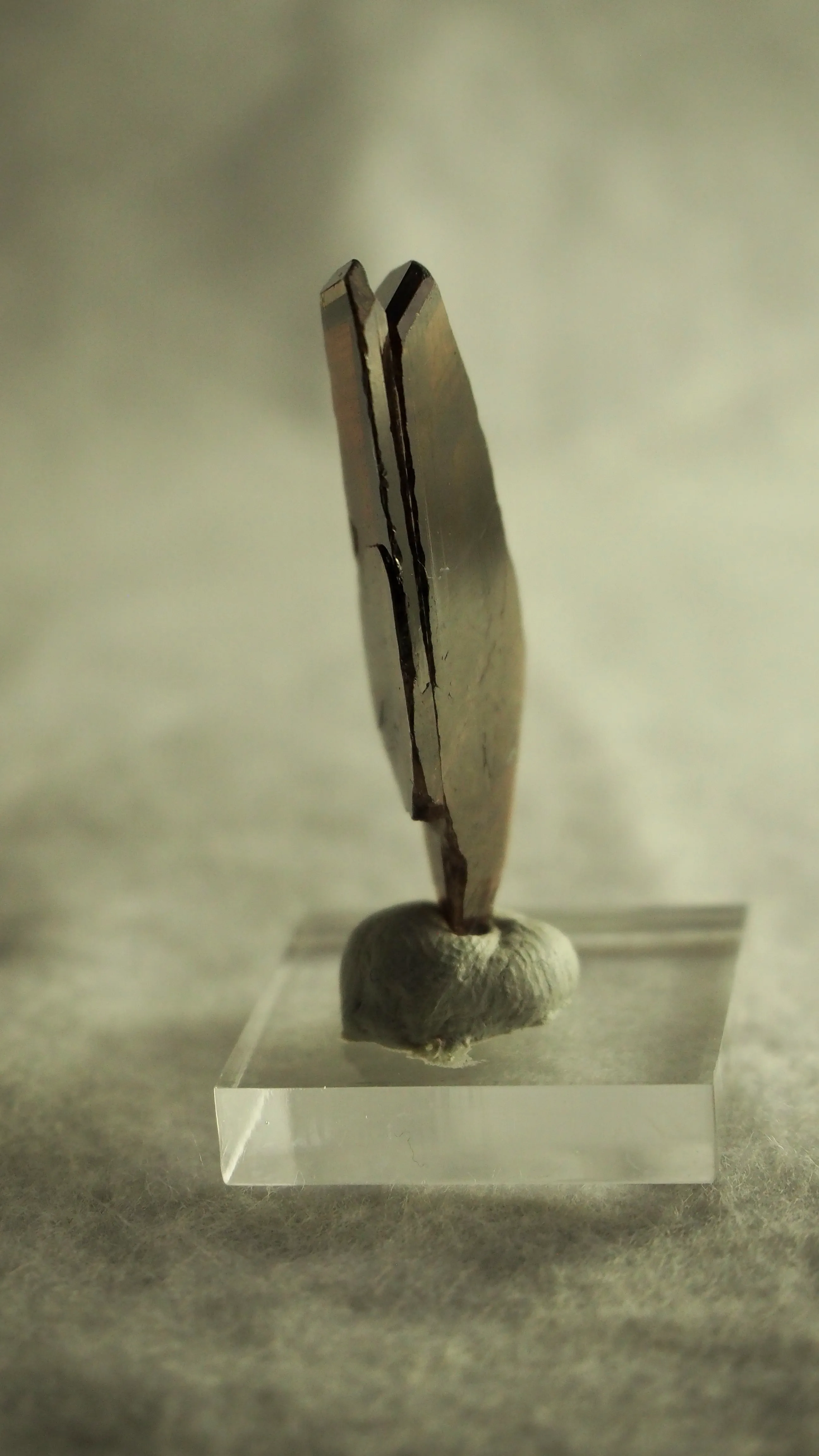 Axinite-(Fe) from Pakistan, Gilgit-Baltistan, Skardu District - image 5