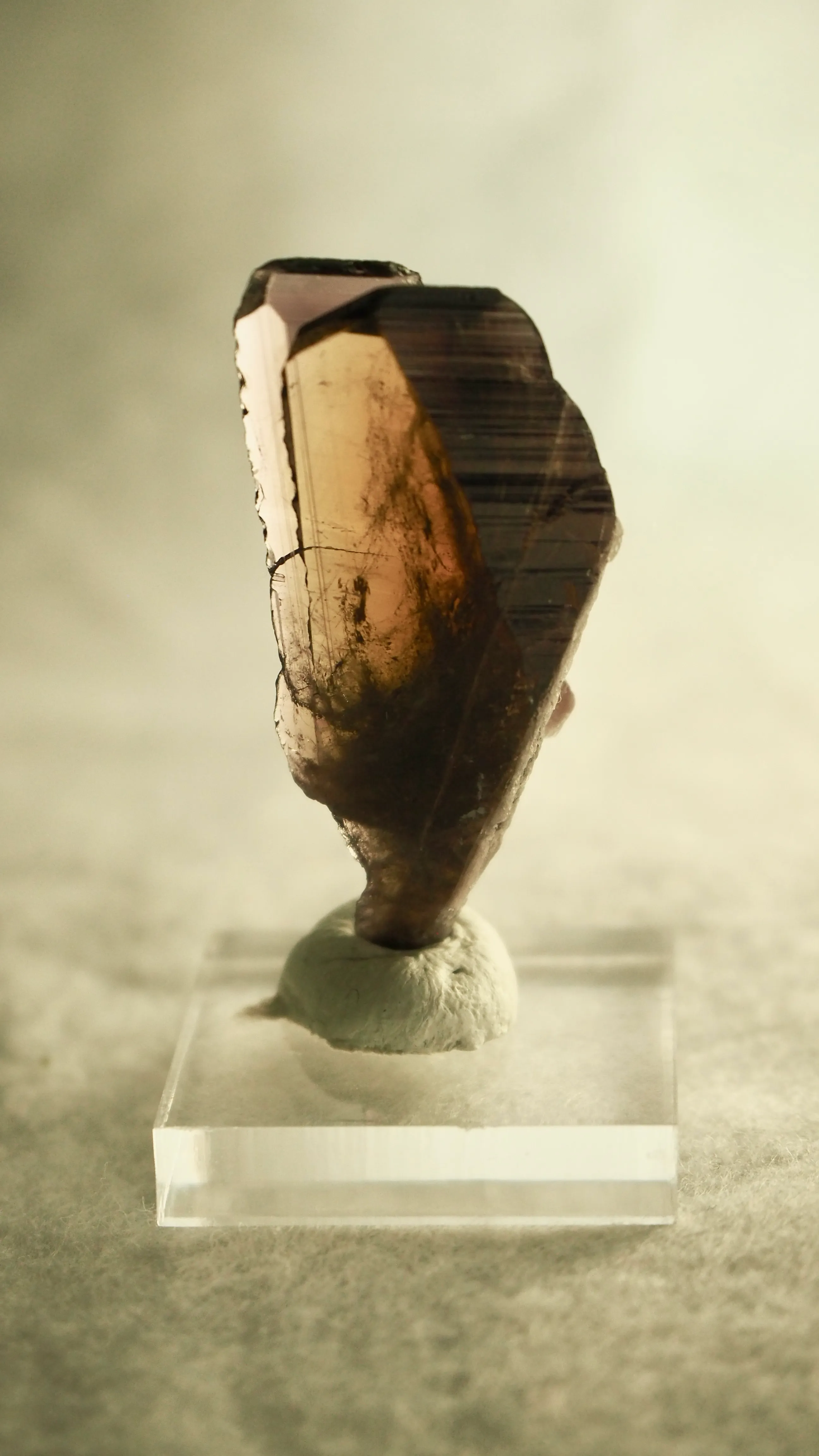 Axinite-(Fe) from Pakistan, Gilgit-Baltistan, Skardu District - image 4