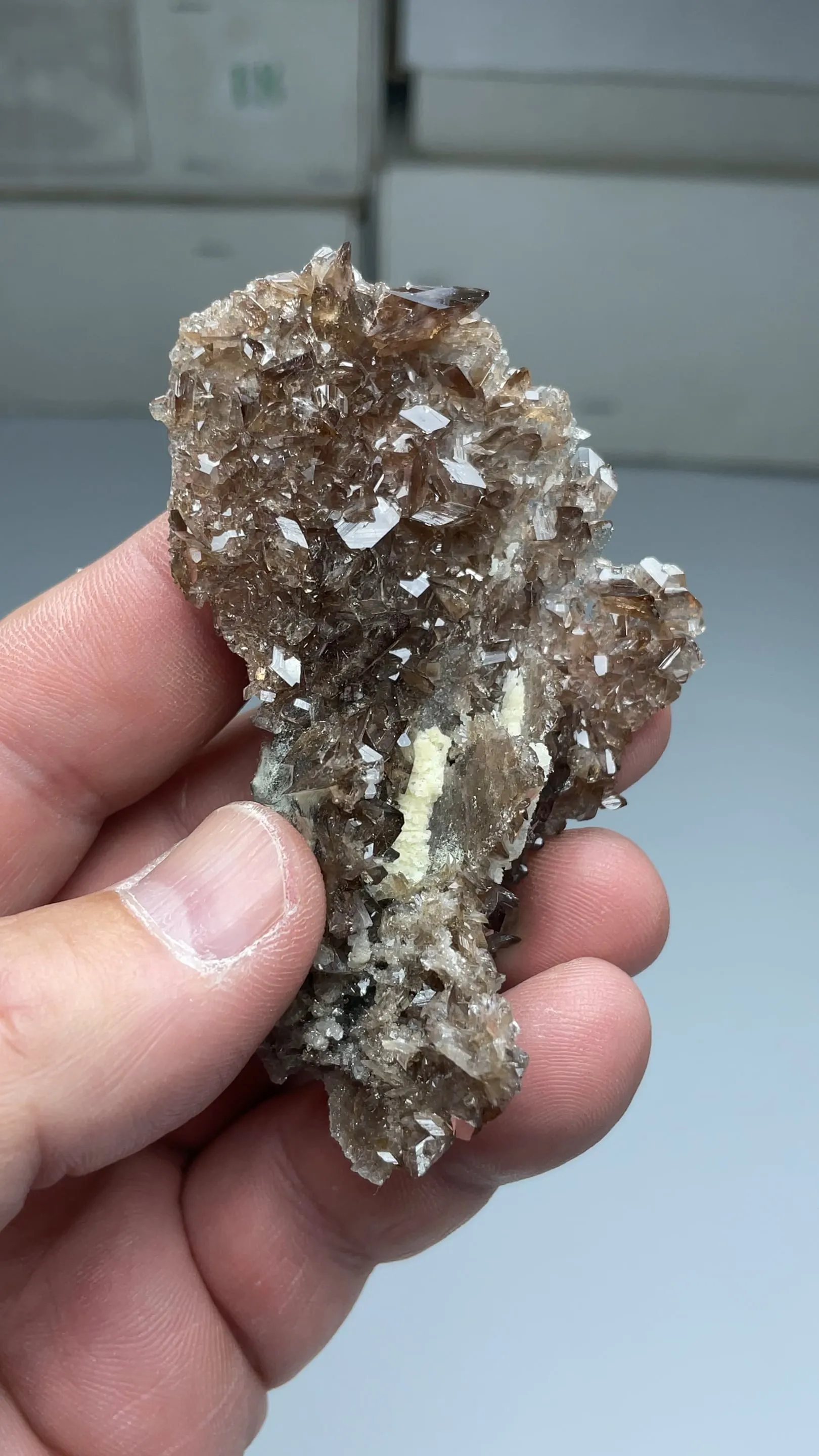 Axinite-Fe with Albite - image 2