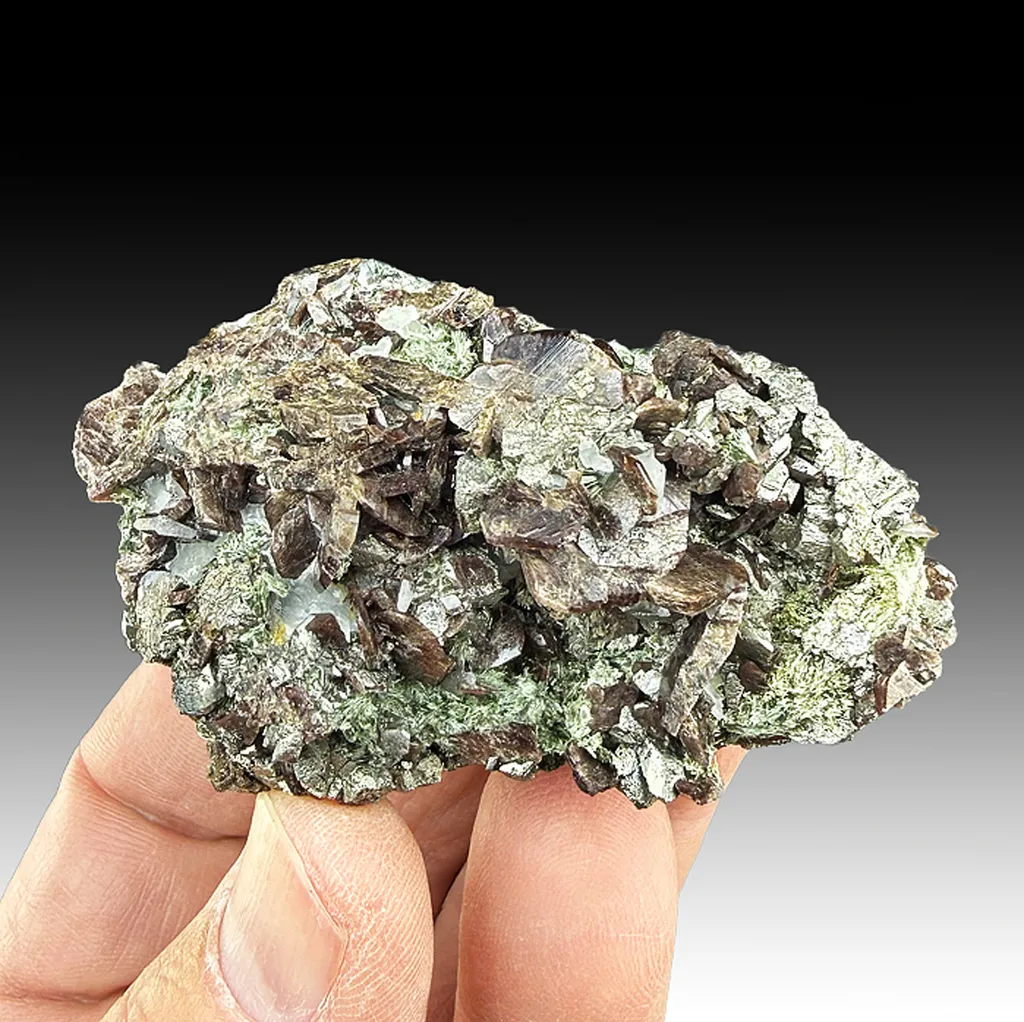 Axinite-Fe with Arsenopyrite, Actinolite image