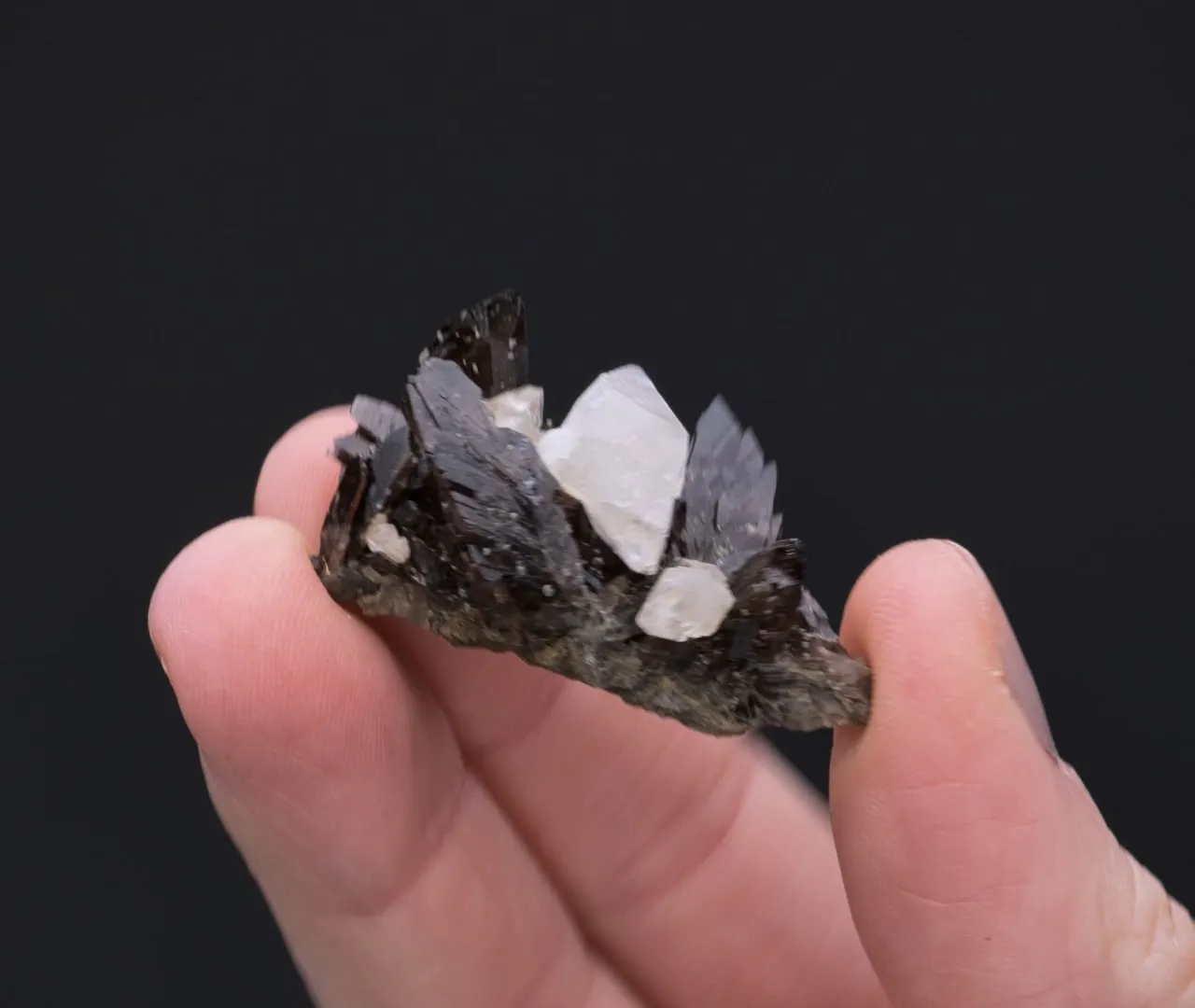 Axinite-(Fe) with Calcite - image 2