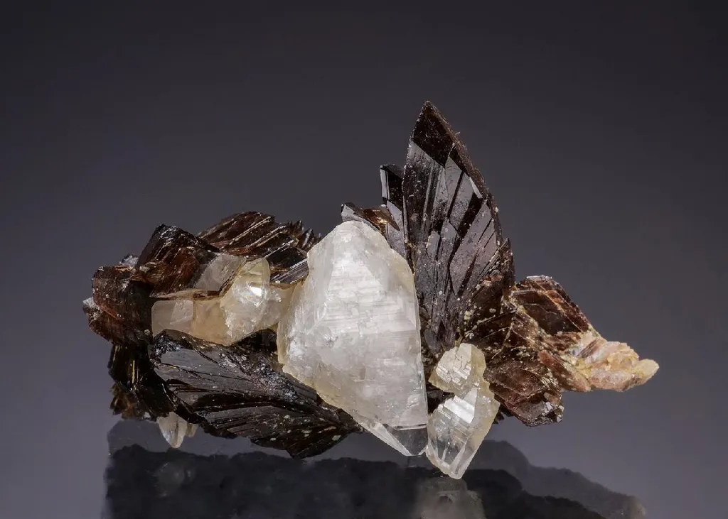 Axinite-(Fe) with Calcite image