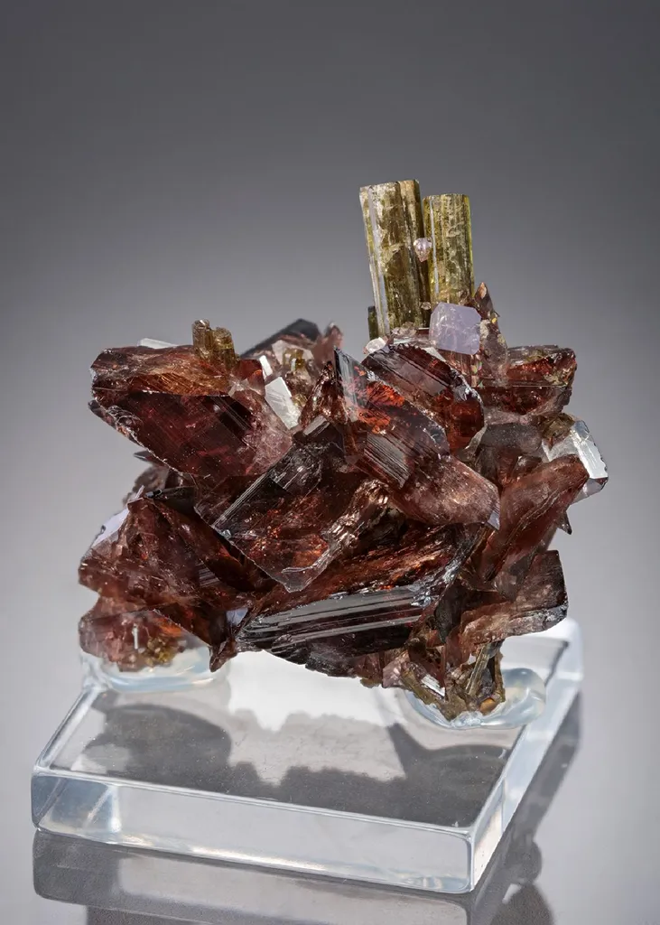 Axinite-(Fe) with Epidote image
