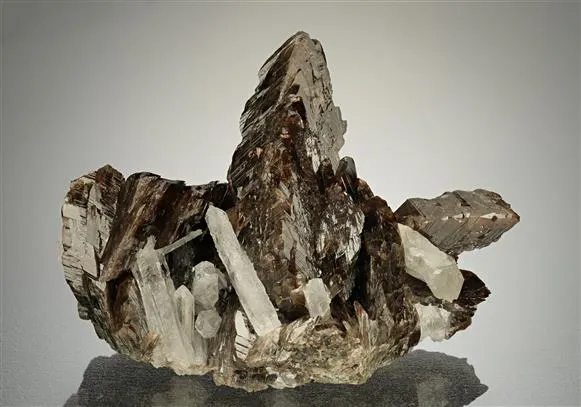 Axinite-(Fe) with Quartz image