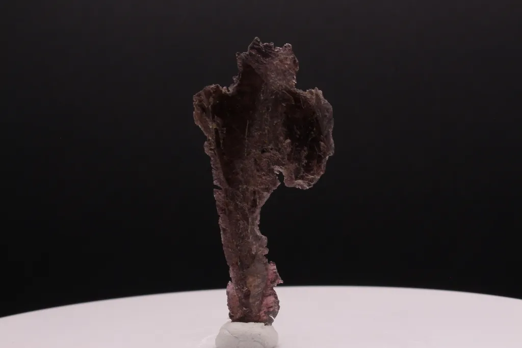 Axinite from  Nausherwani mine, Pakistan image