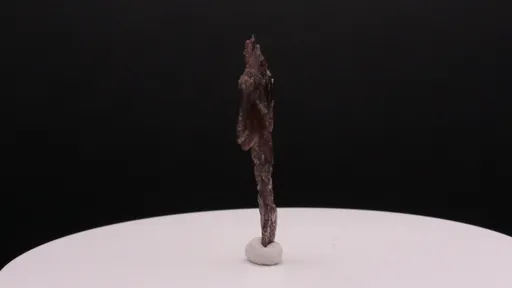 specimen video