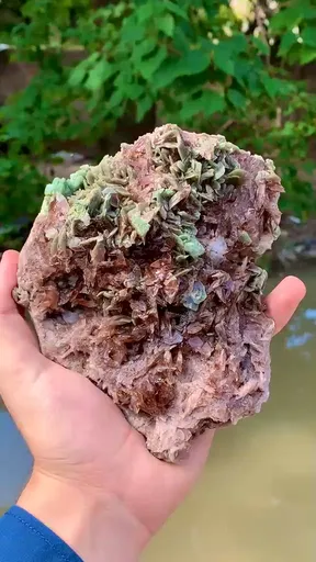 specimen video