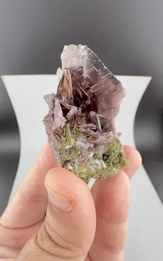 specimen video
