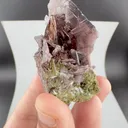 specimen video