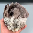 specimen video