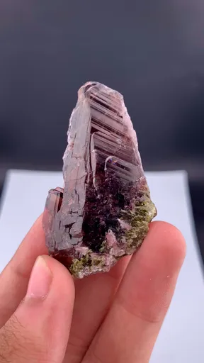 specimen video