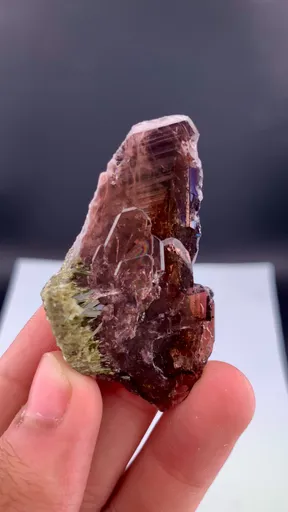 specimen video