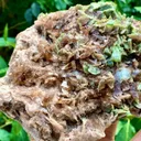 Axinite from Pakistan - image 9