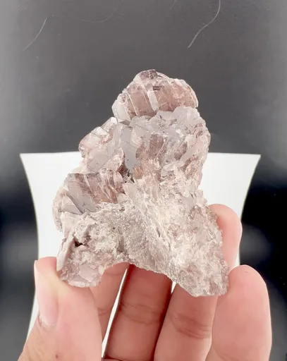 specimen video