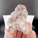 specimen video