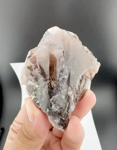 specimen video