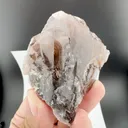 specimen video