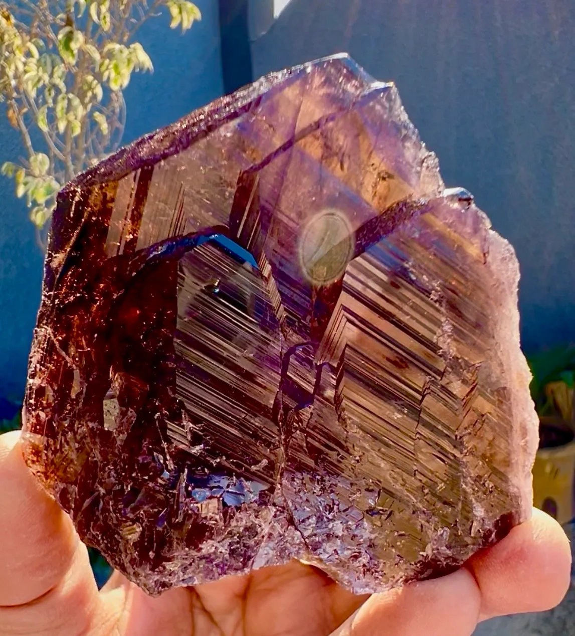 Axinite from Pakistan, Gilgit-Baltistan, Skardu District - image 2