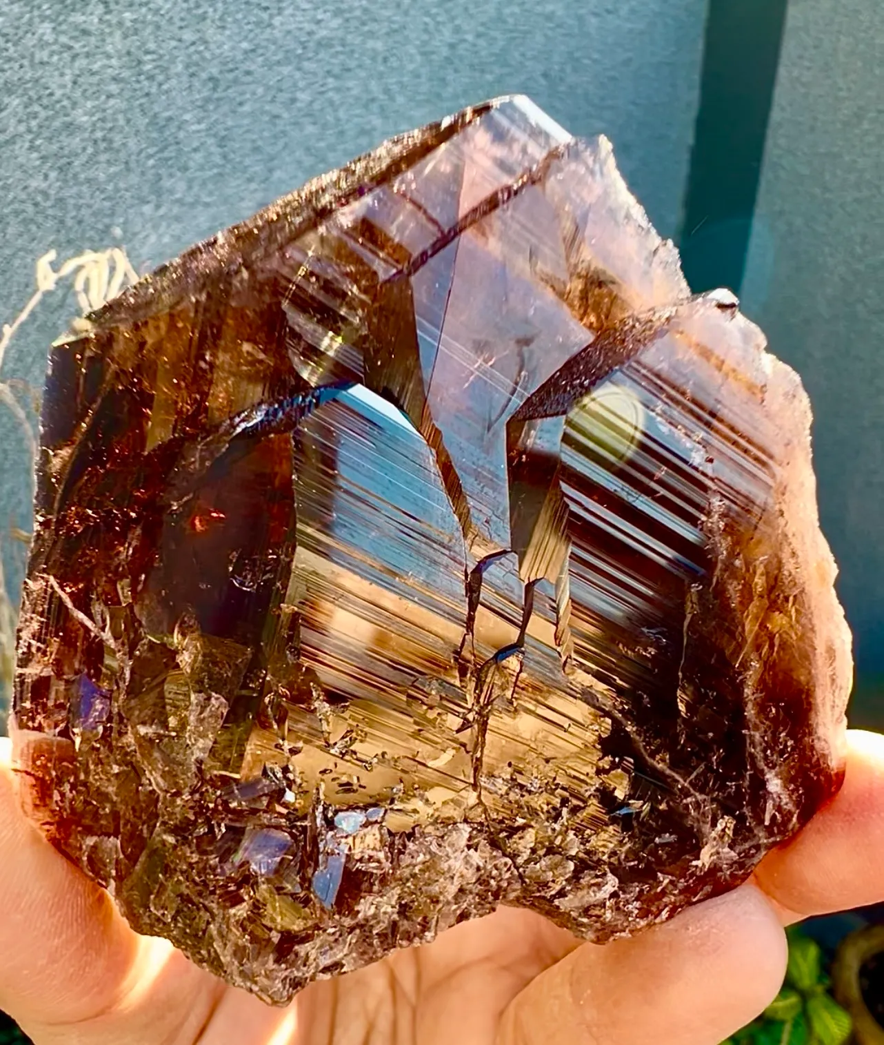 Axinite from Pakistan, Gilgit-Baltistan, Skardu District - image 6