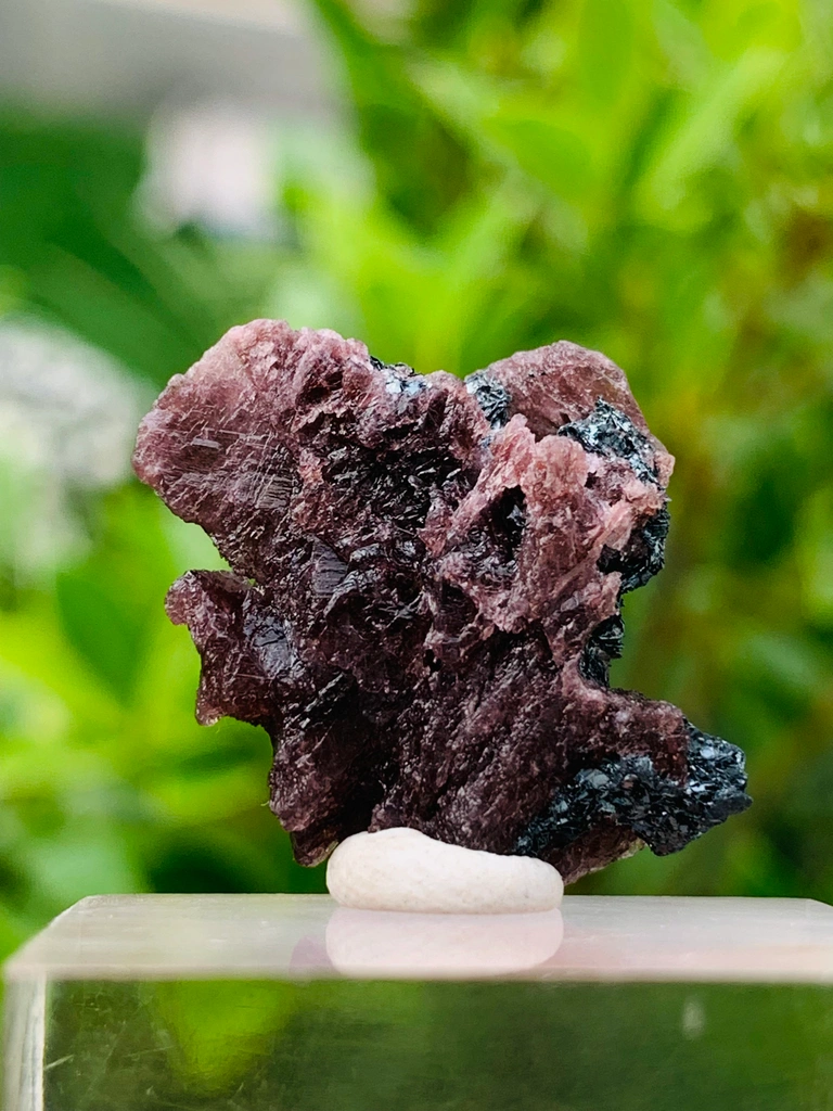 Axinite from Shigar Valley, Skardu District, Gilgit-Baltistan, Pakistan - image 3