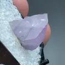 Axinite-Mn - image 2