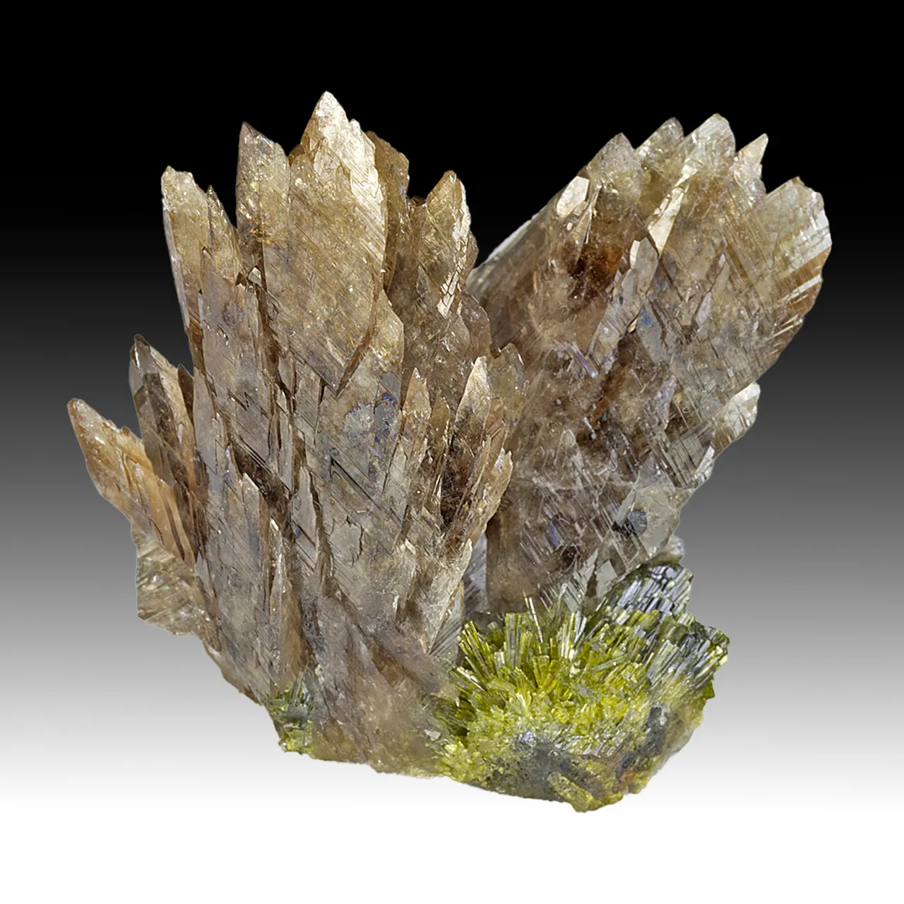 Axinite-Mn with Epidote - image 1
