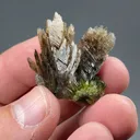 Axinite-Mn with Epidote - image 2