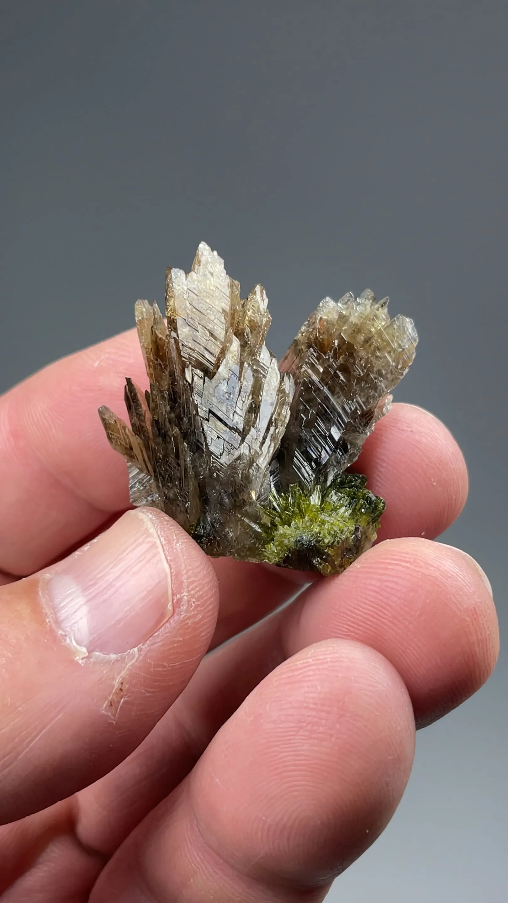 Axinite-Mn with Epidote - image 2