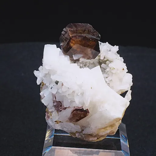 specimen video