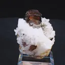specimen video