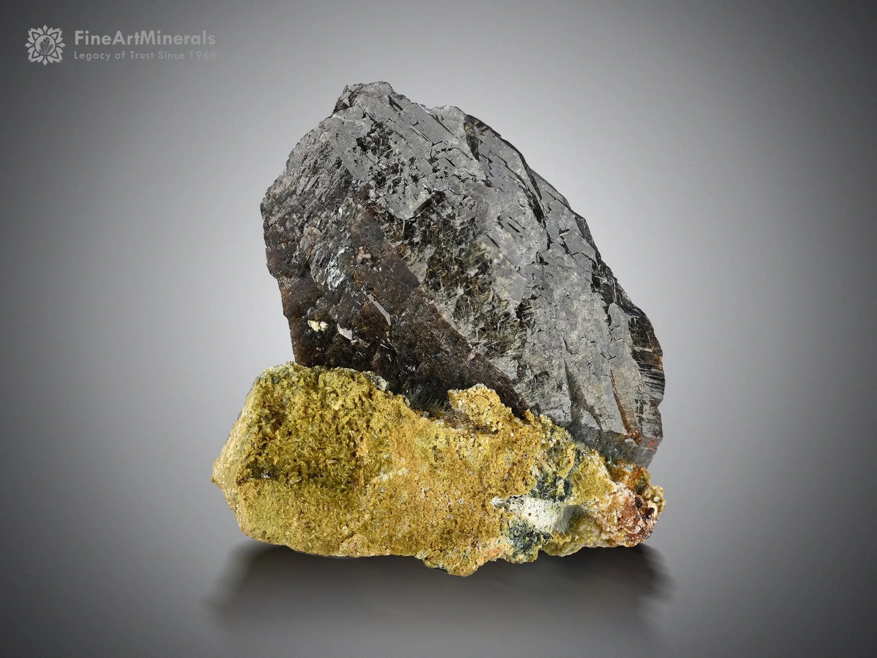 Axinite on Matrix from Baluchistan Pakistan - image 1