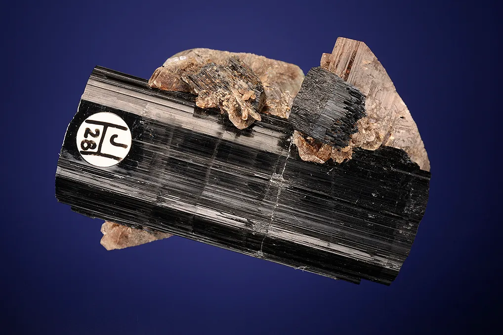 Axinite on Schorl - image 2