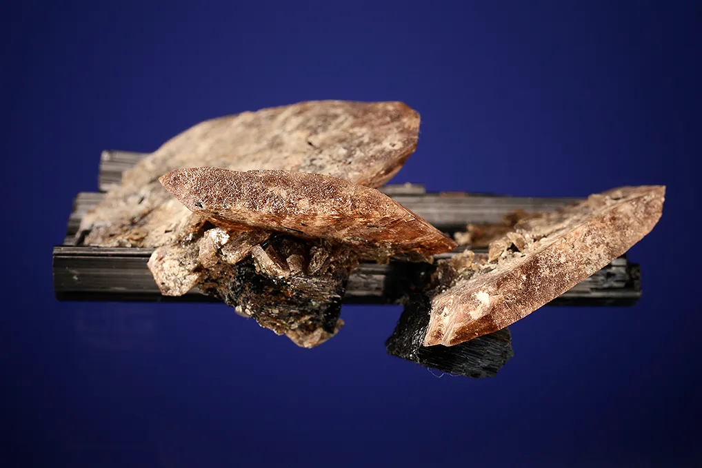 Axinite on Schorl - image 3