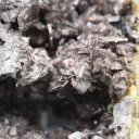 Axinite & quartz - 379 grams - Colebrook Hill Mine, Colebrook Hill, Tasmania, Australia - image 4